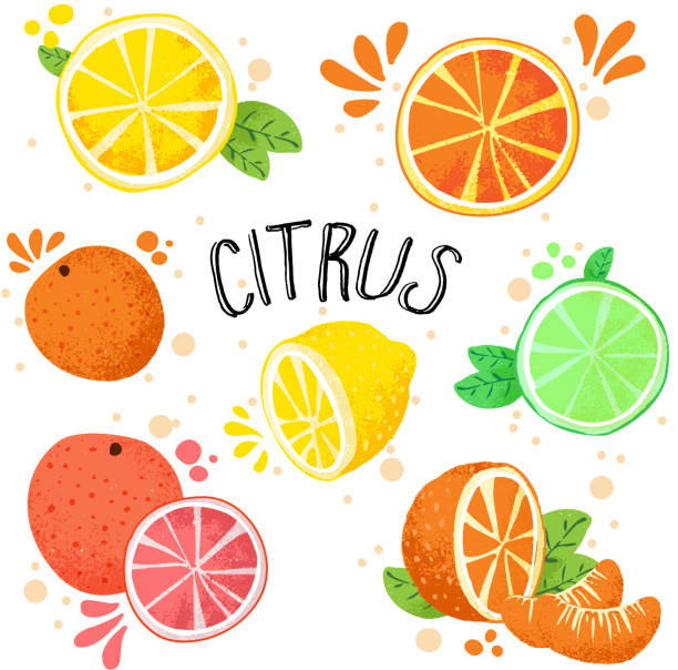 Poupas de Frutas